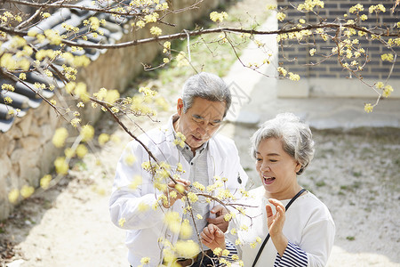 退休老年夫妻一起开心旅行图片