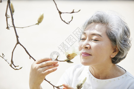 老年阿姨赏花拍照图片