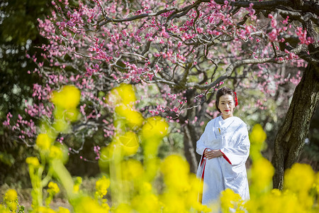 穿和服的日本女性站在梅花树下图片