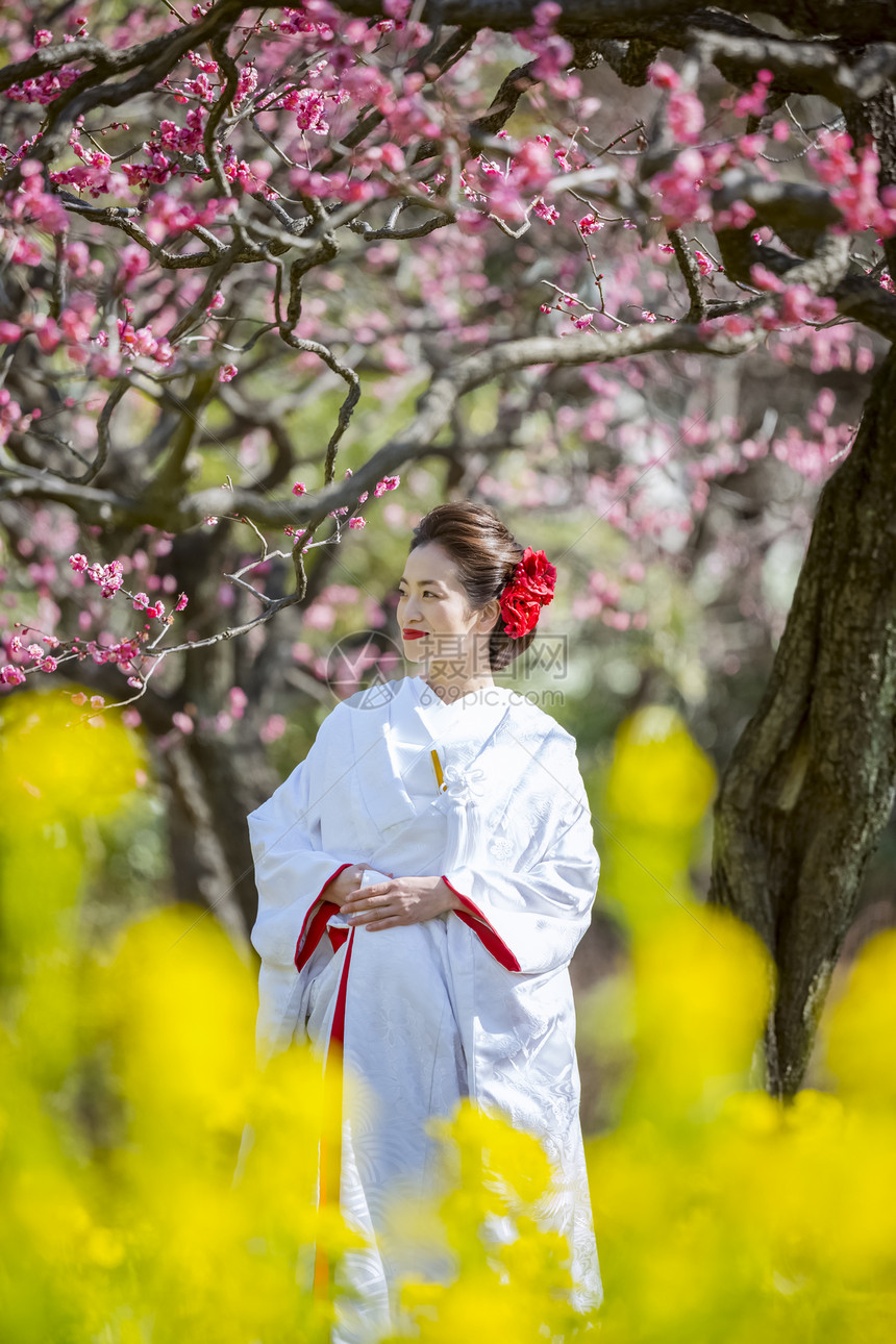 穿和风日本服饰的新娘站在梅花树下图片