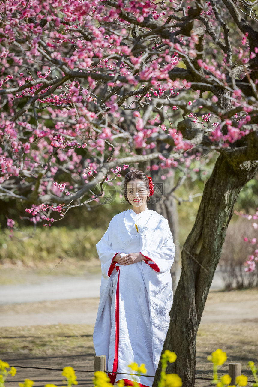 梅花树下的日本新娘图片