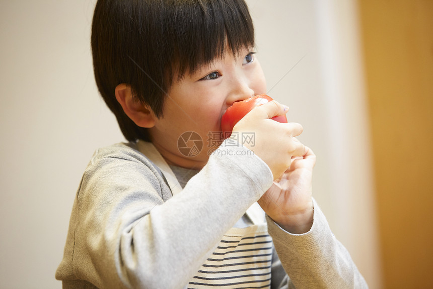 幼儿园儿童男孩们亚洲吃西红柿的孩子图片