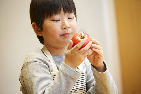 暑假人物幼儿园儿童吃西红柿的孩子图片