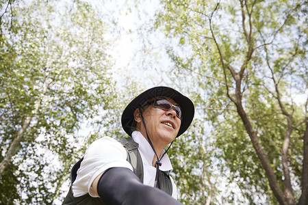 特写镜头植物亚洲人生活退休伙计图片