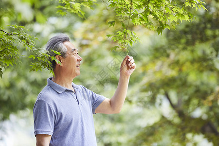 老年男性公园散步图片