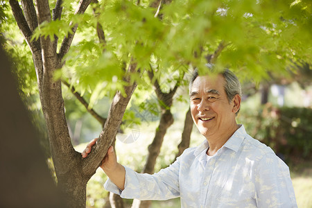 扶着树微笑的成年男子图片