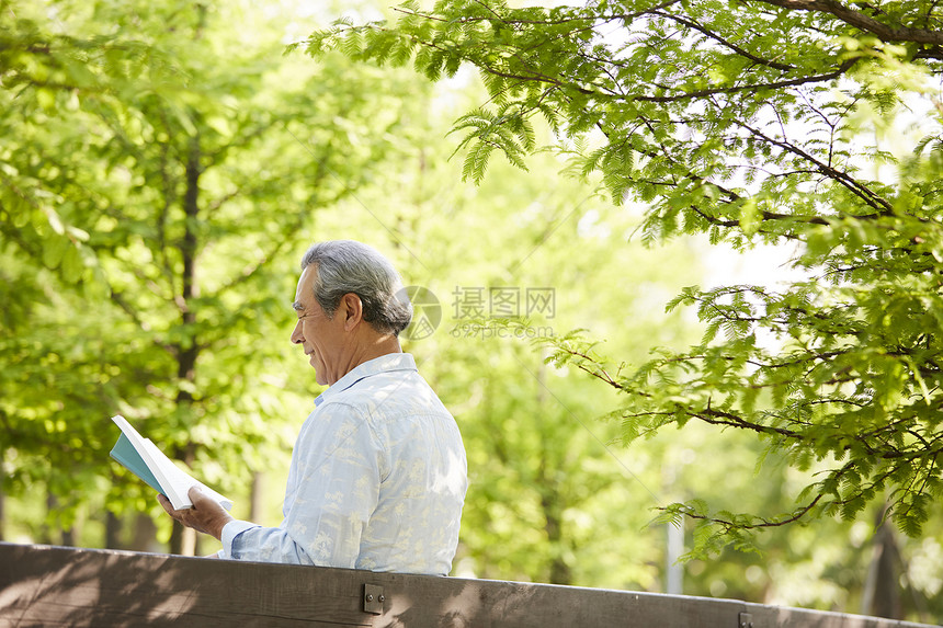 坐在公园里看书阅读的成年男子图片