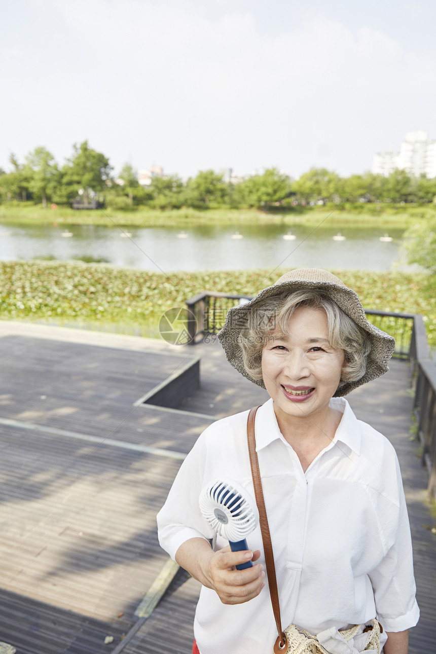 树半身像分庭律师生活女人老人韩国人图片