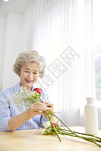 Gypsophila拇指植物迷笛生活女人老人韩国人背景