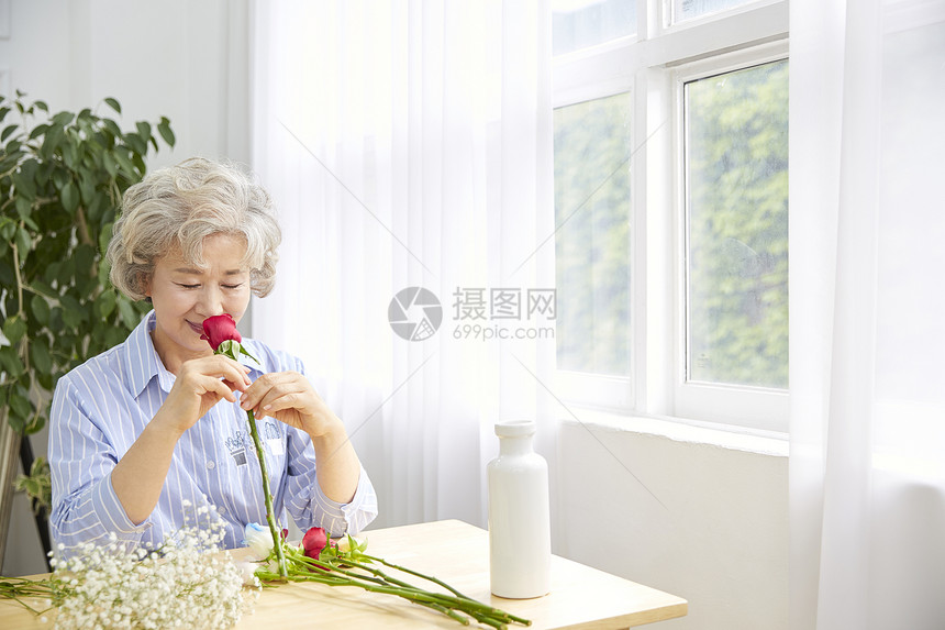 毒蛇植物分庭律师生活女人老人韩国人图片