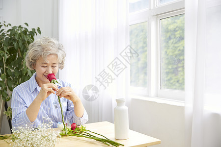 毒蛇植物分庭律师生活女人老人韩国人背景图片
