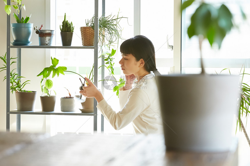 家庭主妇在家修剪植物图片