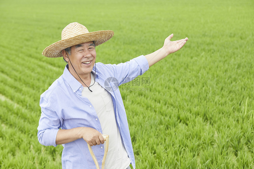 老人下农田干农活图片