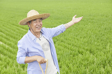 老人下农田干农活背景图片