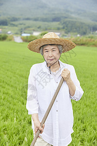 老妇人下农田干农活图片