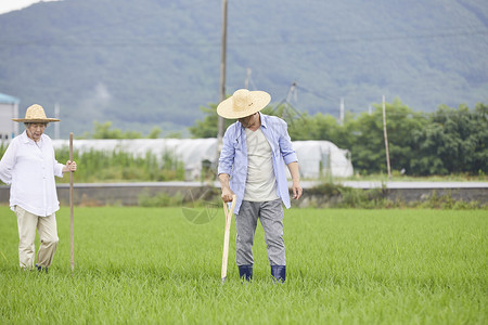 老年夫妇下农田干农活背景图片