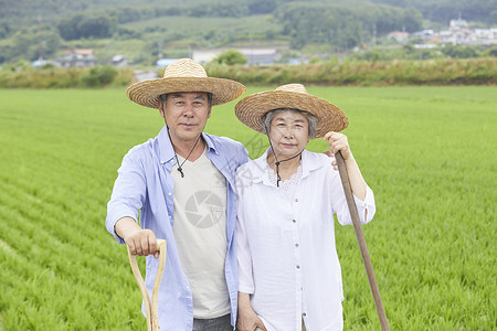 老年夫妇下农田干农活图片