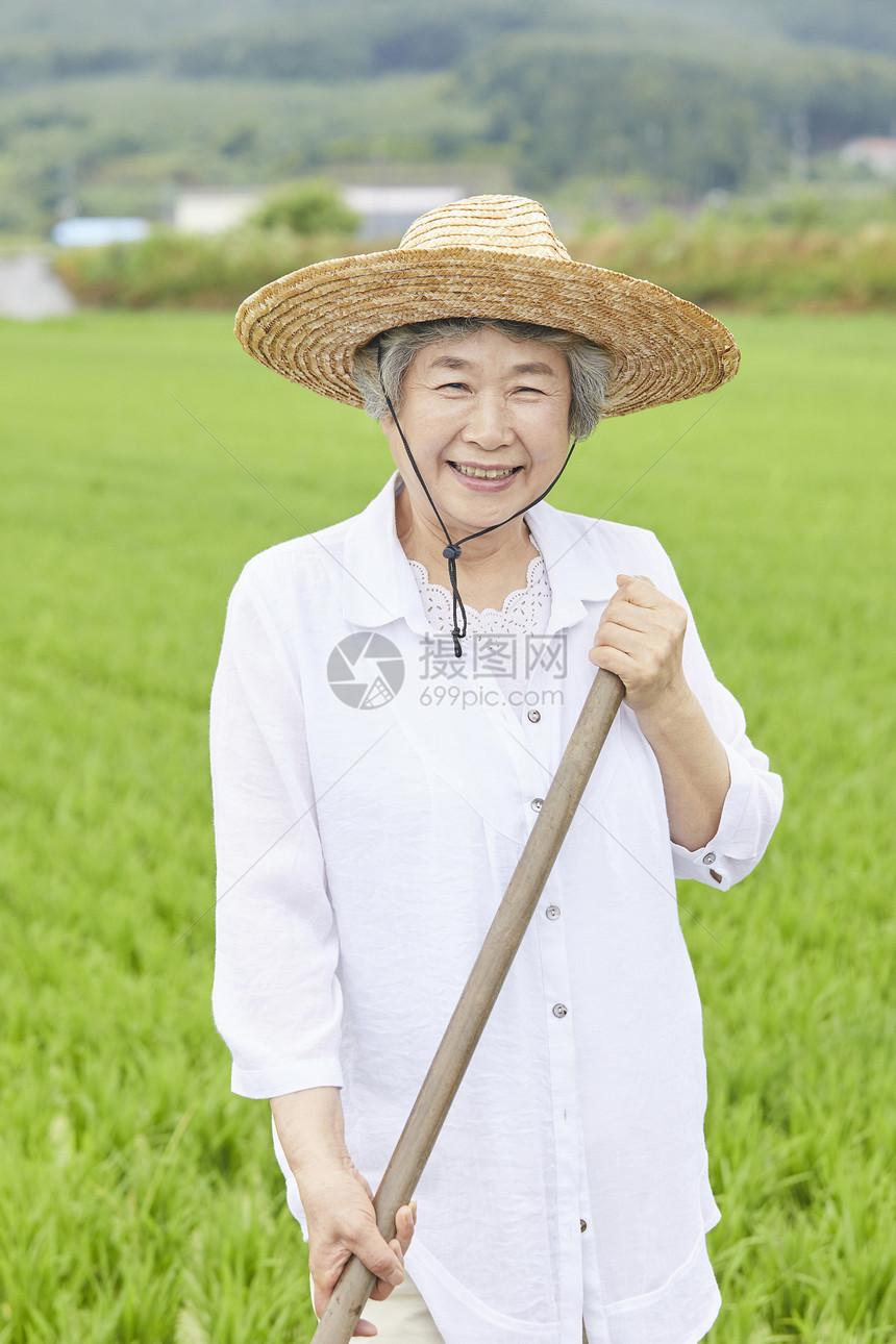 老妇人下农田干农活图片