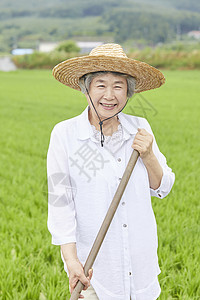 老妇人下农田干农活图片