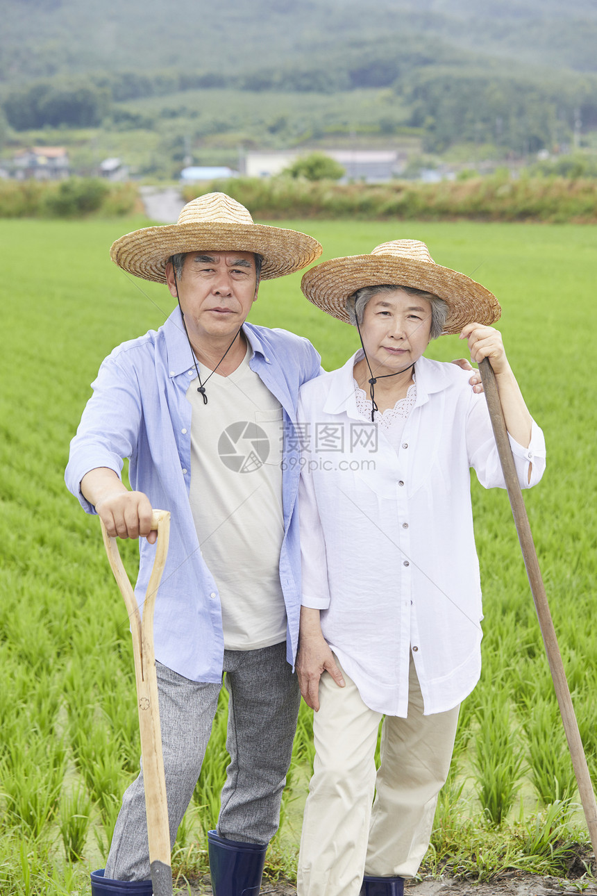 老年夫妇下农田干农活人图片