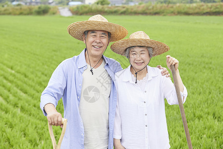 老年夫妇下农田干农活背景图片