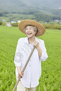 老妇人下农田干农活背景图片