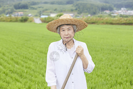 老妇人下农田干农活图片