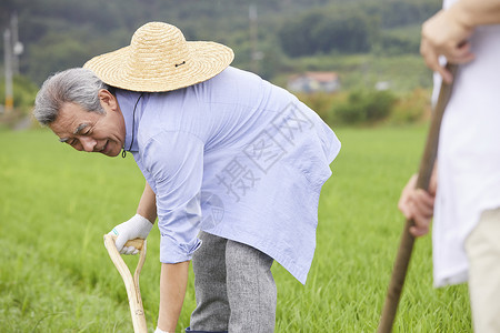 老年夫妻一起种植农作物图片