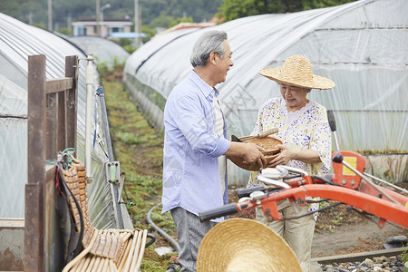 老年夫妻一起种植农作物图片