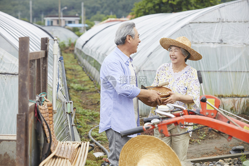 老年夫妻一起种植农作物图片