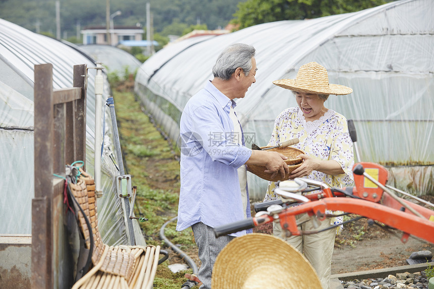 老年夫妻一起种植农作物图片