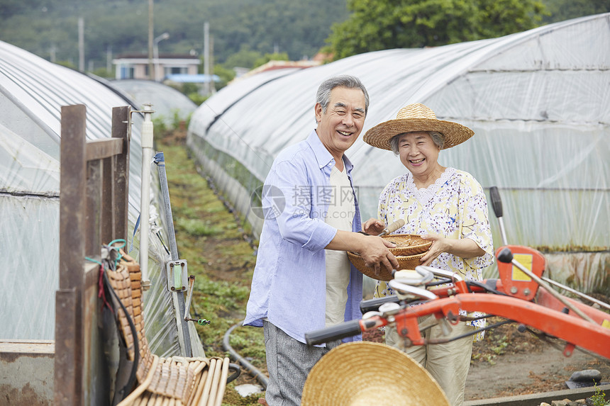 老年夫妻一起种植农作物图片