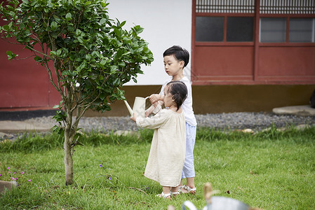 小孩子给树浇水图片