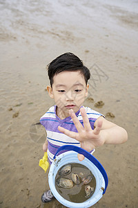  在海边捡贝壳的小孩图片