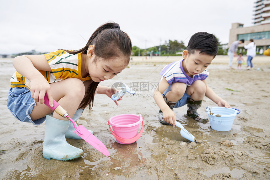  在海边捡蛤的小孩图片