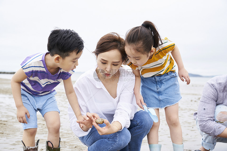  在海边沙滩捡蛤的一家人图片