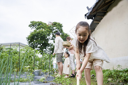 种植盆栽的小女孩图片