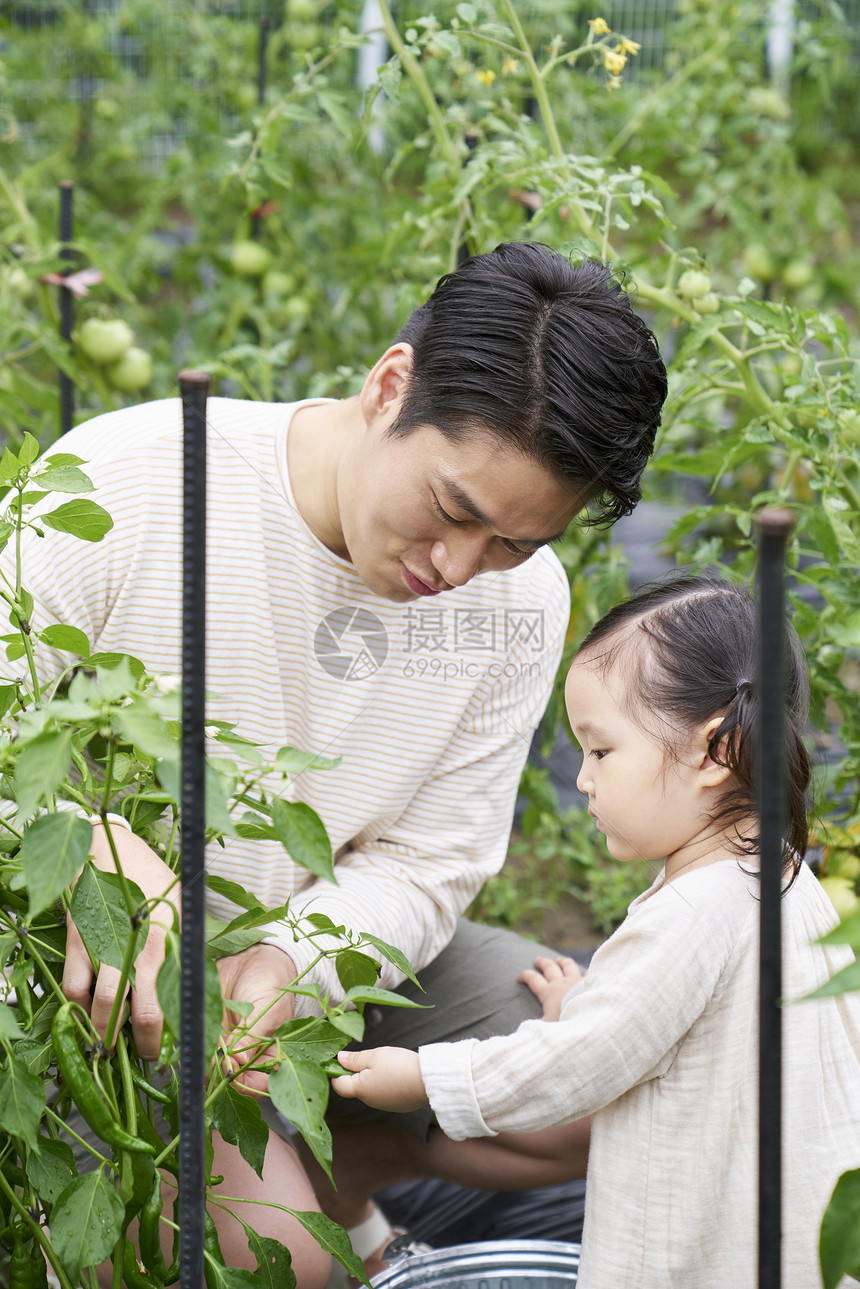 负责人快乐农业花园体验式学习韩语图片