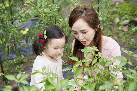 文科硕士盯着看户外的花园体验式学习韩语图片