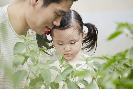 收益递增成人微笑花园体验式学习韩语图片