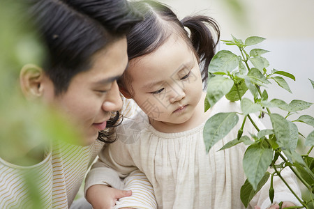 收获季节迷笛庄稼花园体验式学习韩语图片
