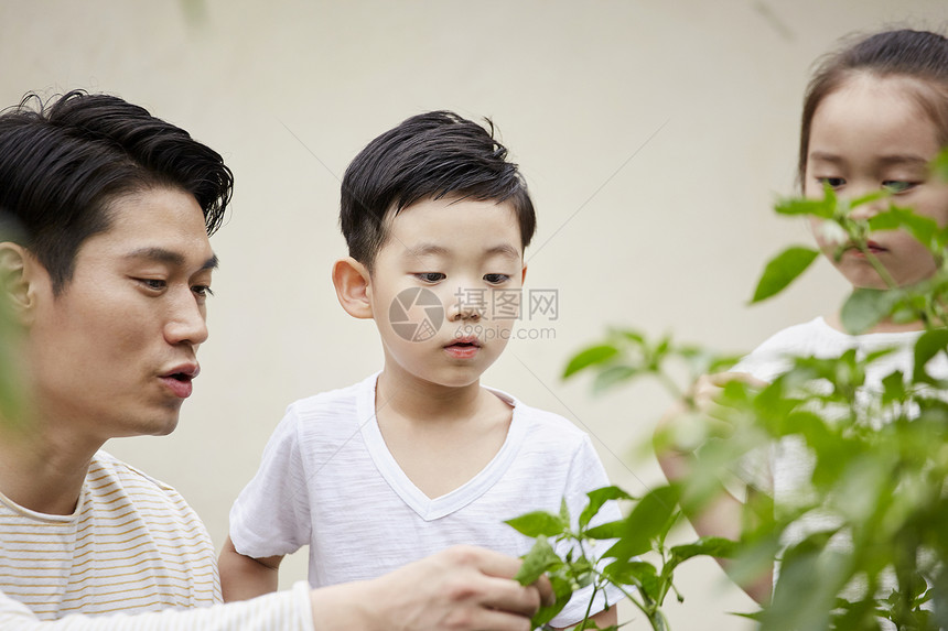 笑耕种植物栽培花园体验式学习韩语图片