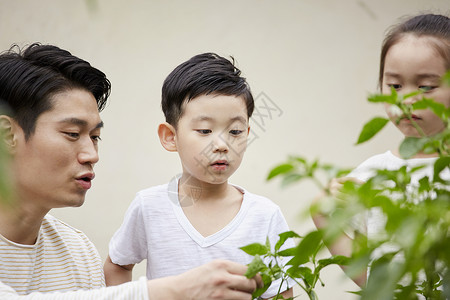 笑耕种植物栽培花园体验式学习韩语图片