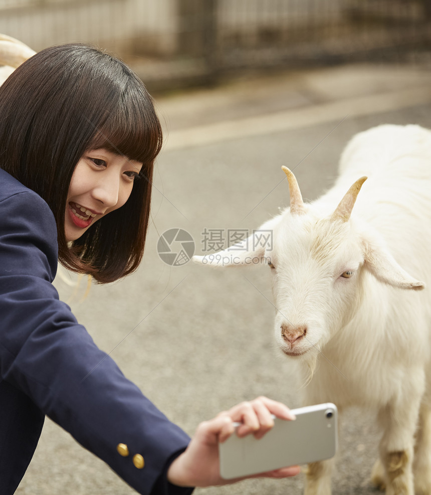 高中女生在动物园玩图片