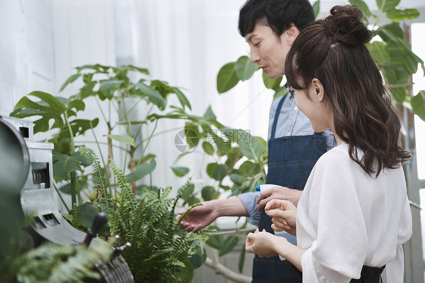 花朵室内男在一家花店工作的人图片