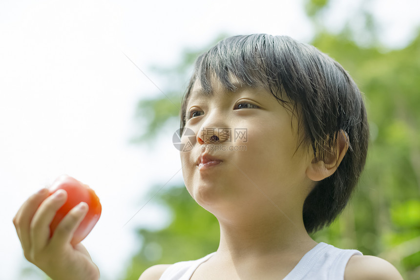 开心小男孩吃西红柿图片