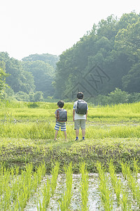 拉男孩兄弟小学生在上学的路上图片