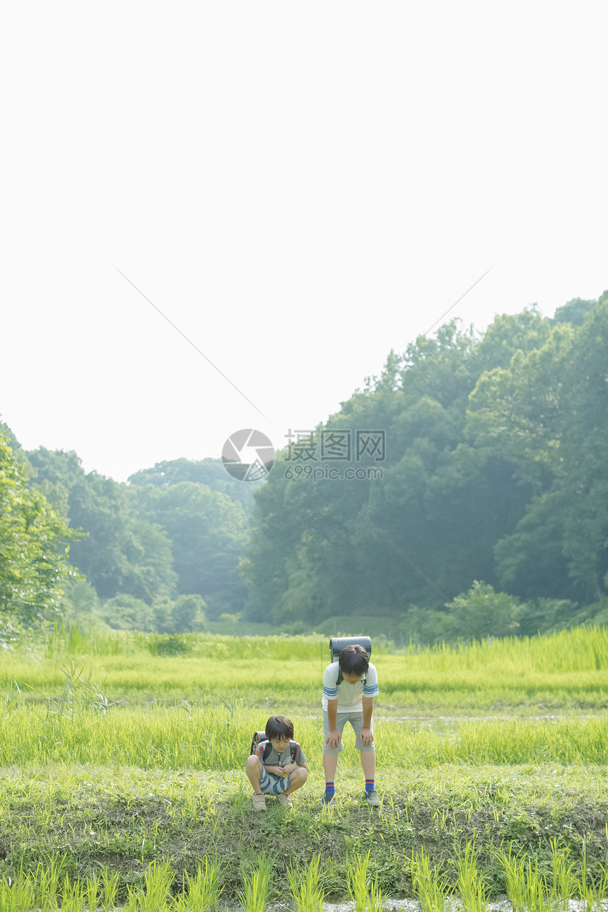 小学生在上学的路上图片