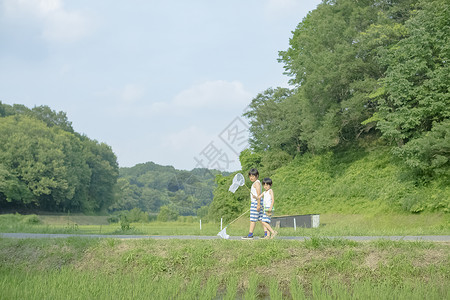 在田野里捕虫的儿童图片