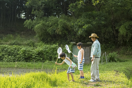 小满迎夏在暑假爷爷看着高兴男孩采集昆虫背景